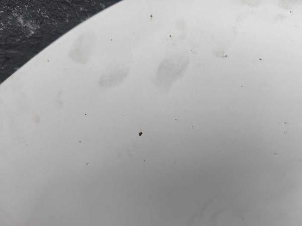 CAPOT MERCEDES VITO W447 2018-2024 - Vue 2